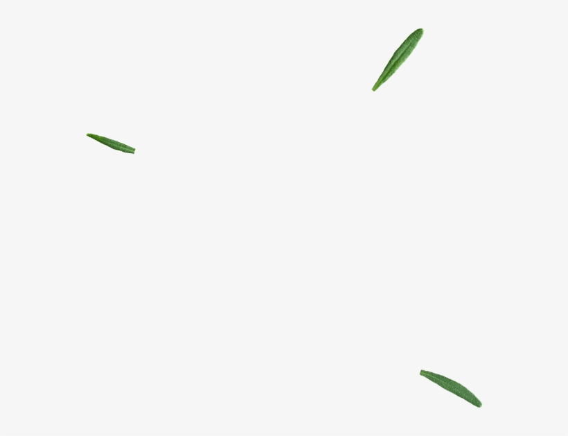 Cosmetic, transparent png download
