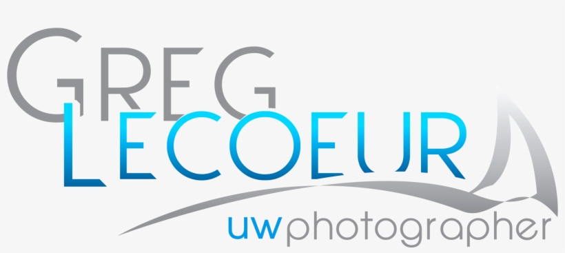 Logo Gregory Photographe2 - Logo, transparent png download