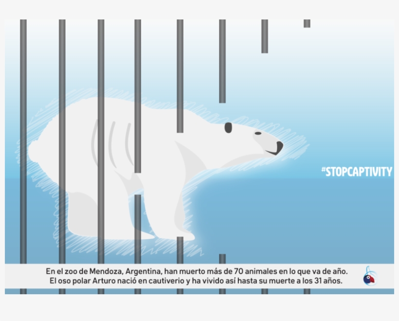 Arturo Es-big - Polar Bear, transparent png download
