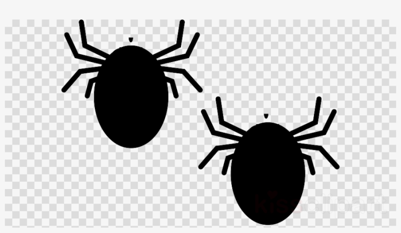 Tick Bug Clipart Deer Tick Clip Art - Clip Art, transparent png download