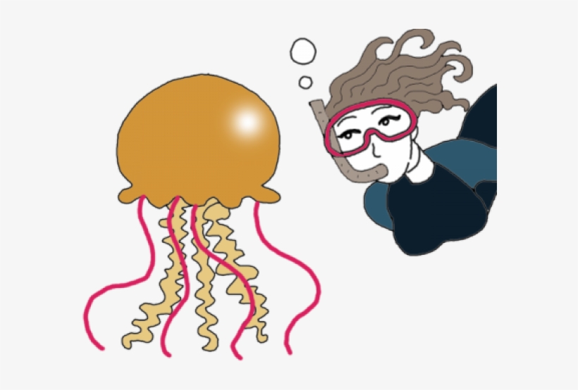 Jellyfish, transparent png download