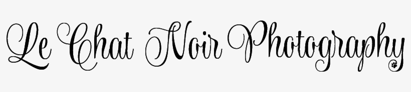 Le Chat Noir Photography - Calligraphy, transparent png download