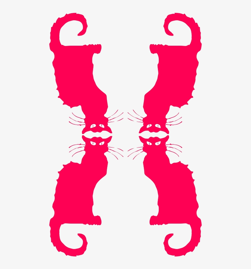 Cat, transparent png download
