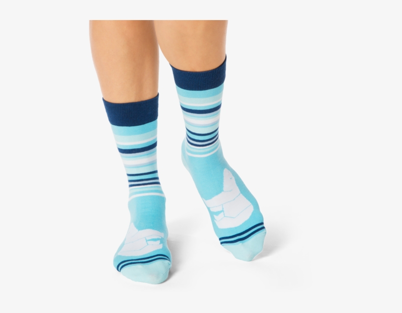 Shongolulu Polar Bear Bars Socks, transparent png download
