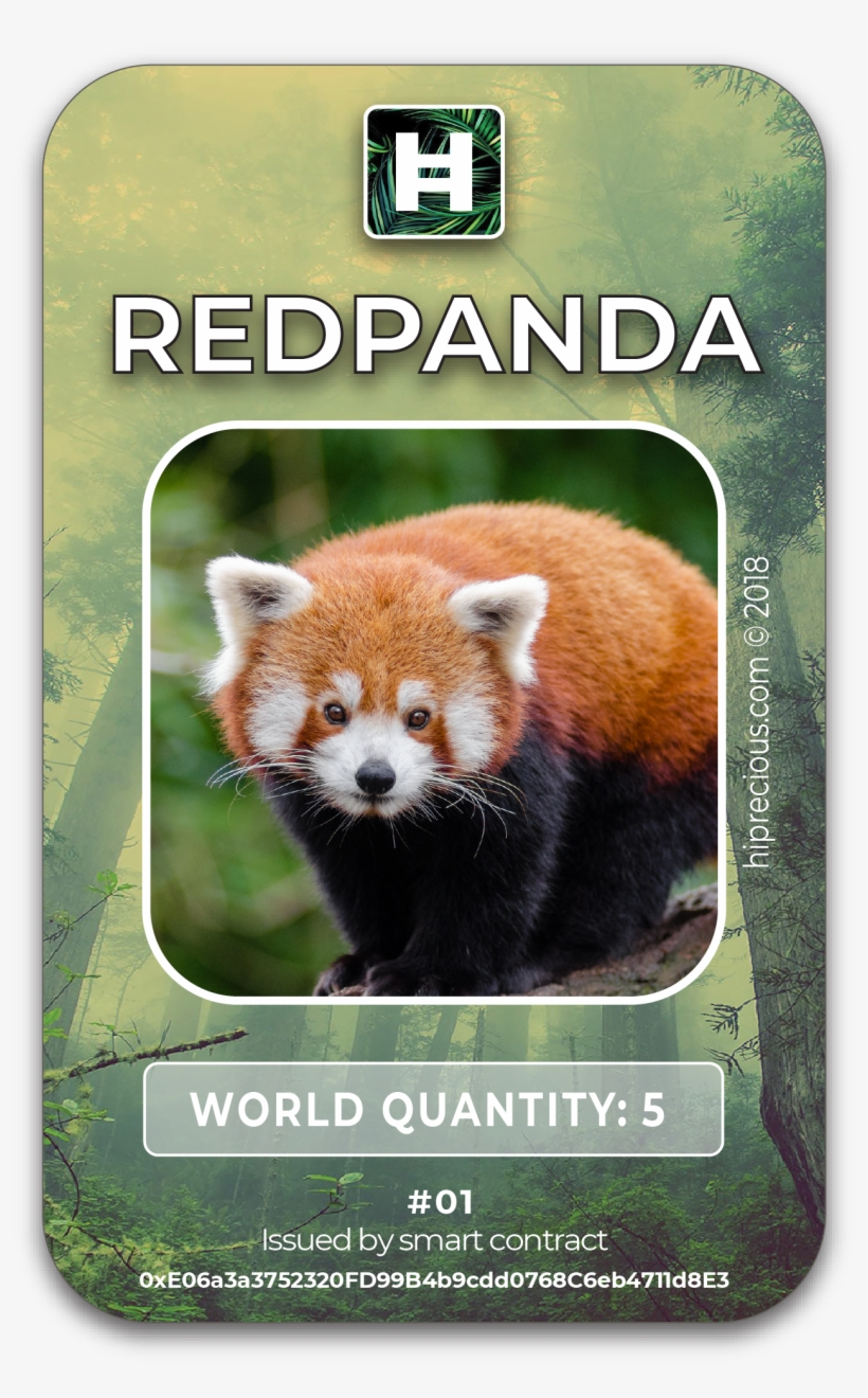 Red Panda •, transparent png download