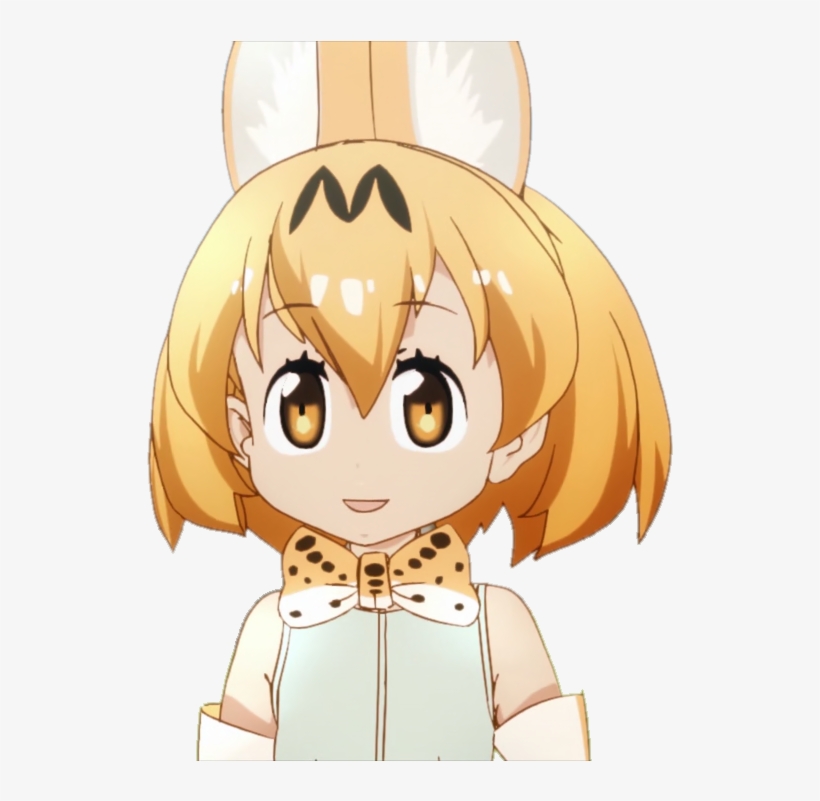 >transaction Fee Set To Match The Maximum Possible - Kemono Friends Serval Png, transparent png download