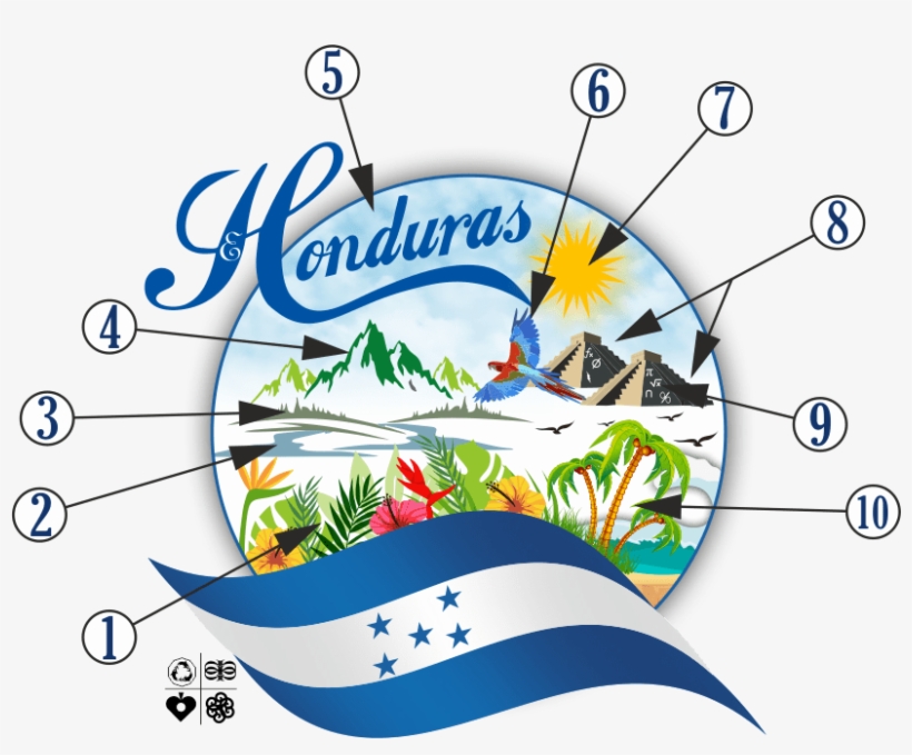 1) Variedad De Plantas Tropicales Y Orquídeas - Honduras, transparent png download