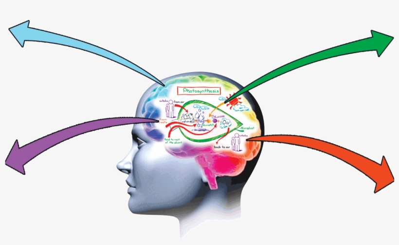 The Memory Guru Of India - Ielts Essay Skills – Mindmapping - 2015, transparent png download