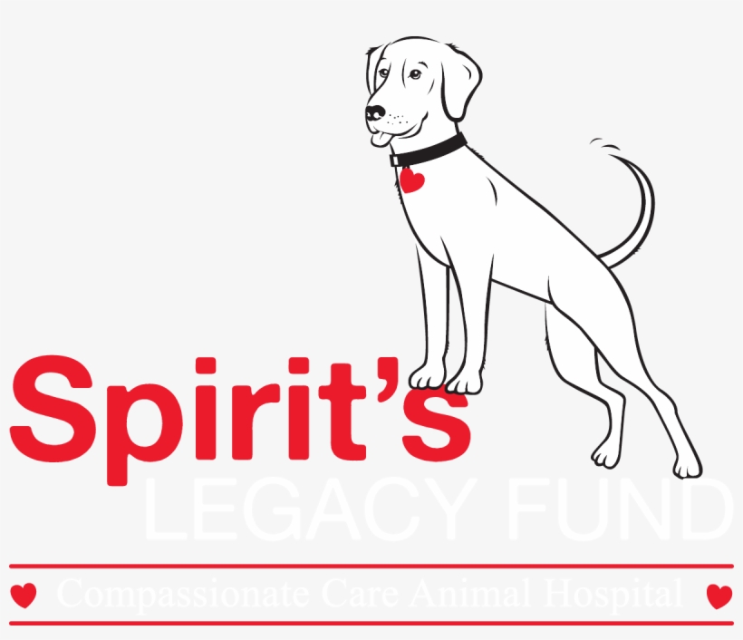 In Loving Memory Of Jax - Journeys Of The Spirit [book], transparent png download