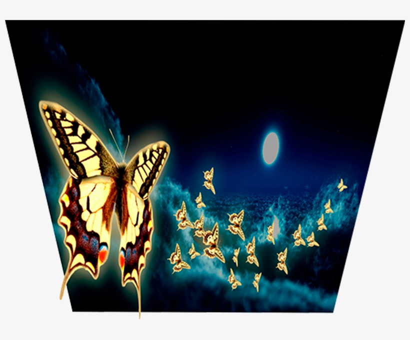 Don't Believe Your Eyes Night Glow Night Ambient Moonlight - Papilio, transparent png download