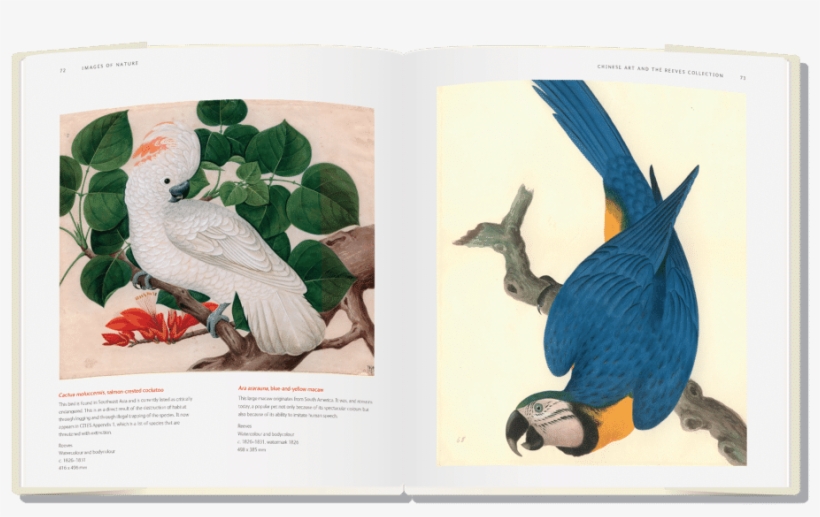Natural History Museum <br>books For Adults - Exhibition Catalogue Natural History Museum, transparent png download