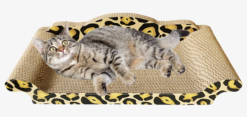 Out Of Stock [cat Scratch Bed To Buy 1 Get 1 Free] - Scratching Post, transparent png download