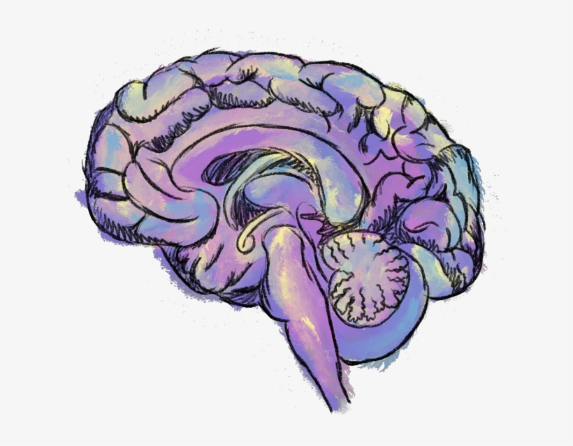 Peak Efficiency Level Where Almost No Energy Is Required - Nashville, transparent png download