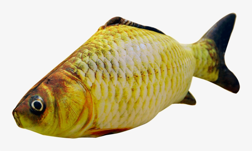 Cat Toy Cat Scratch Board Cat Mint Fish Laser Funny - Noq Salted Fish Pillow/simulation Of Carp/plush Toys/tricky, transparent png download