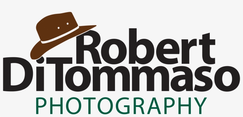 Image001 - Nik Software, transparent png download