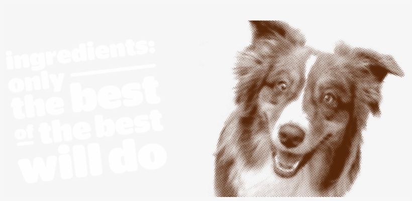 Petcurean, transparent png download