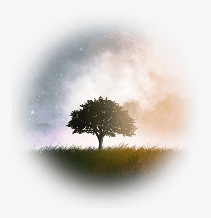You've Been Taught The Wrong Way To Manifest & It Has - Galaxy Tree Wallpaper Iphone, transparent png download