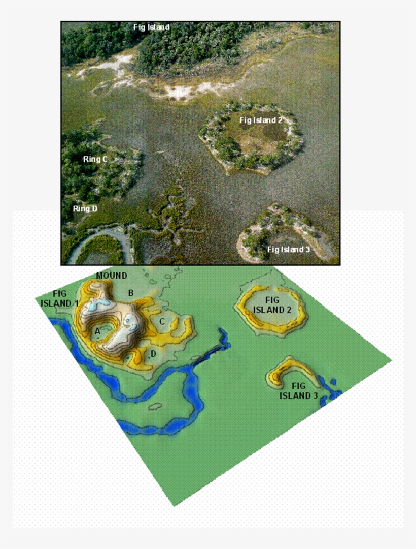 Figure 4 - - Illustration, transparent png download