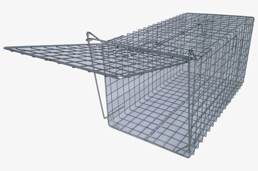 Fox Trap - Trap Fox, transparent png download
