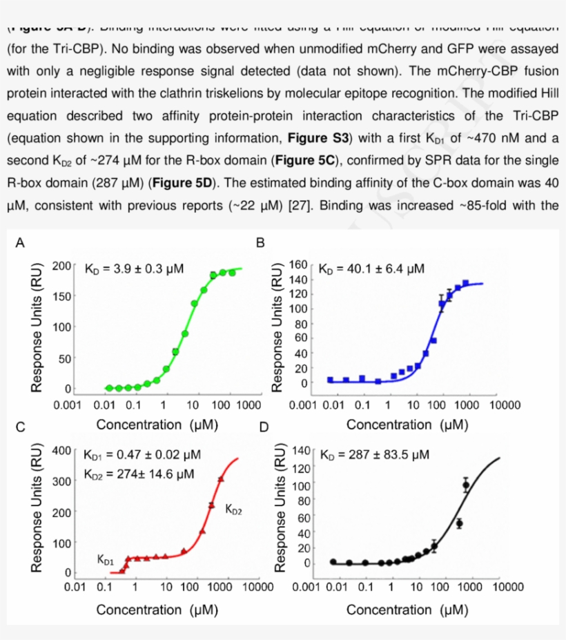 Binding Affinity Of The Cbps To The Clathrin Triskelions - Mcherry, transparent png download