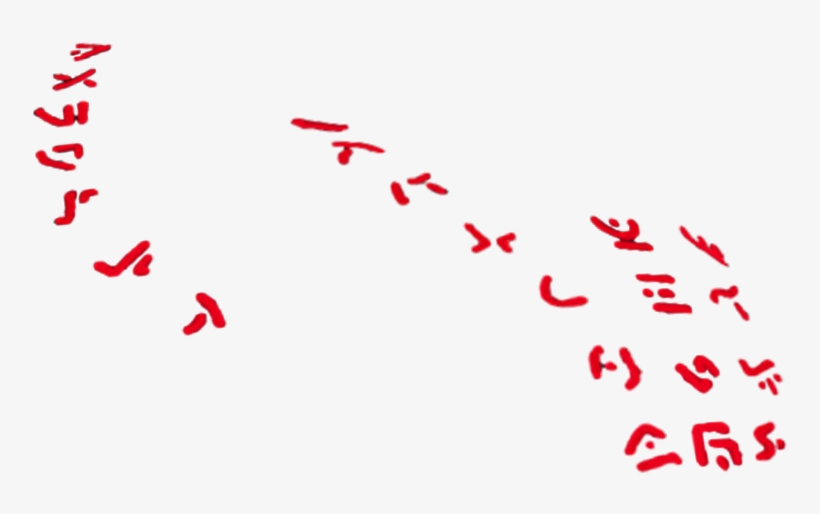 $55, transparent png download