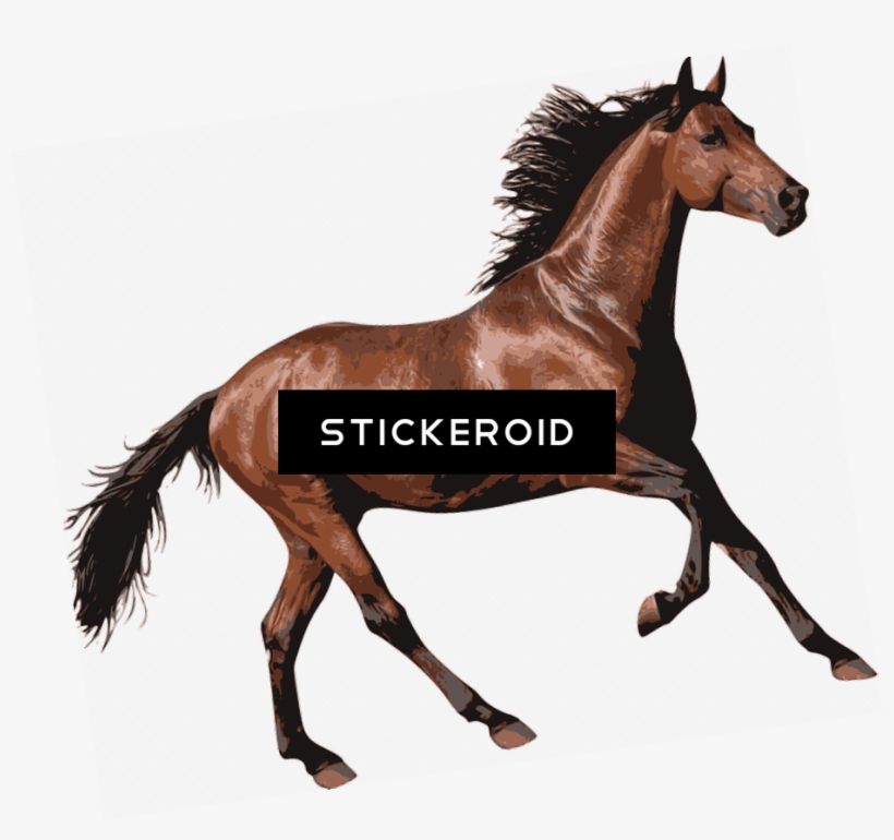 Brown Race Horse - Horse, transparent png download