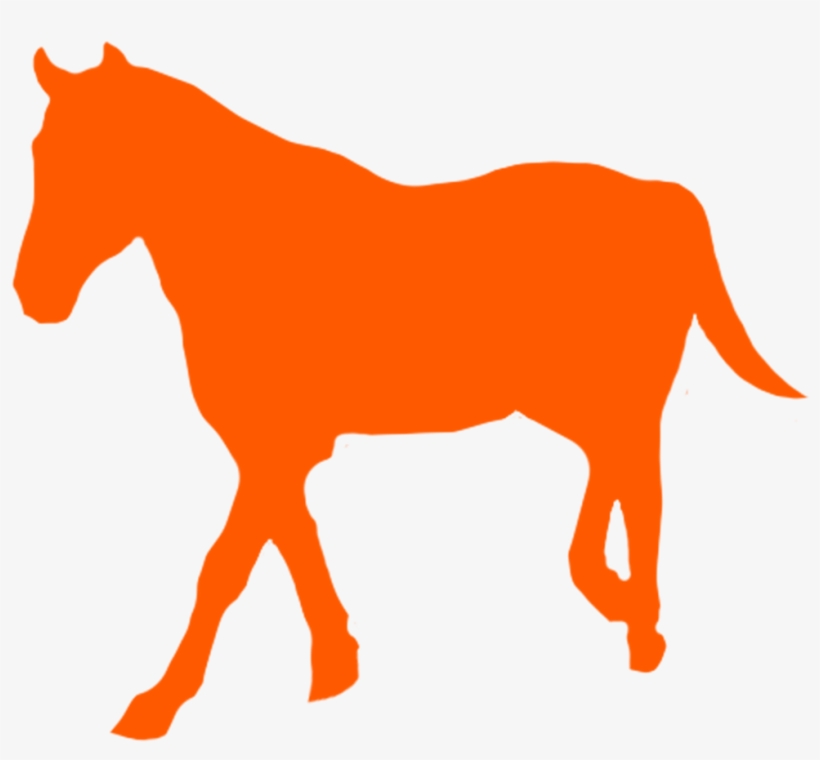 Mustang Horse Png, transparent png download