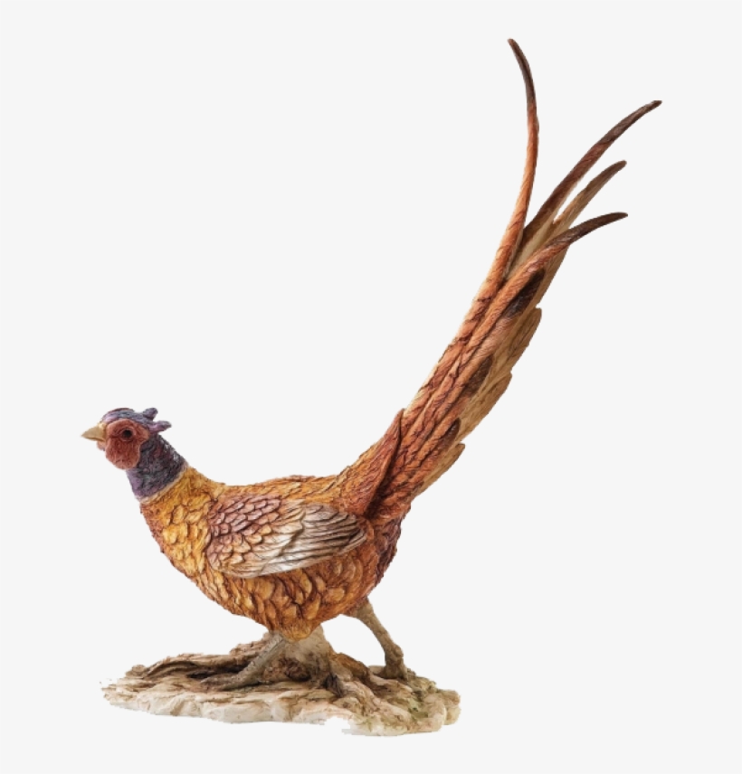 Border Fine Arts Contemporary Collection - Pheasant Border Fine Art, transparent png download