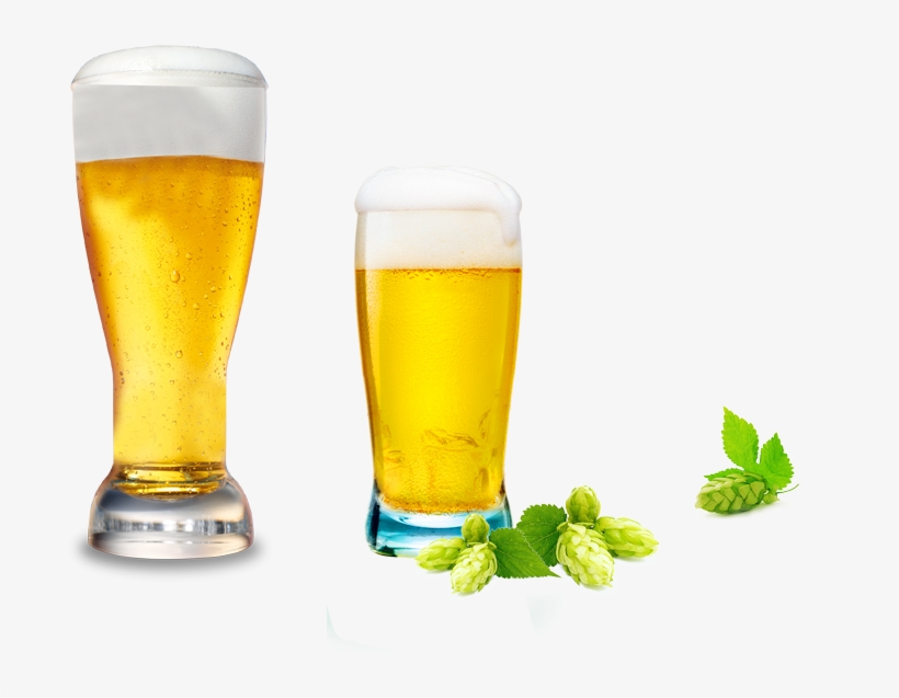 Beer Cup Png Banner Transparent Download - Cup Beer Png, transparent png download