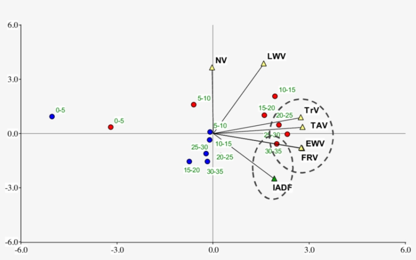 Position Of Variables Of Teak Trees Vessels (tav - Nyse:trv, transparent png download