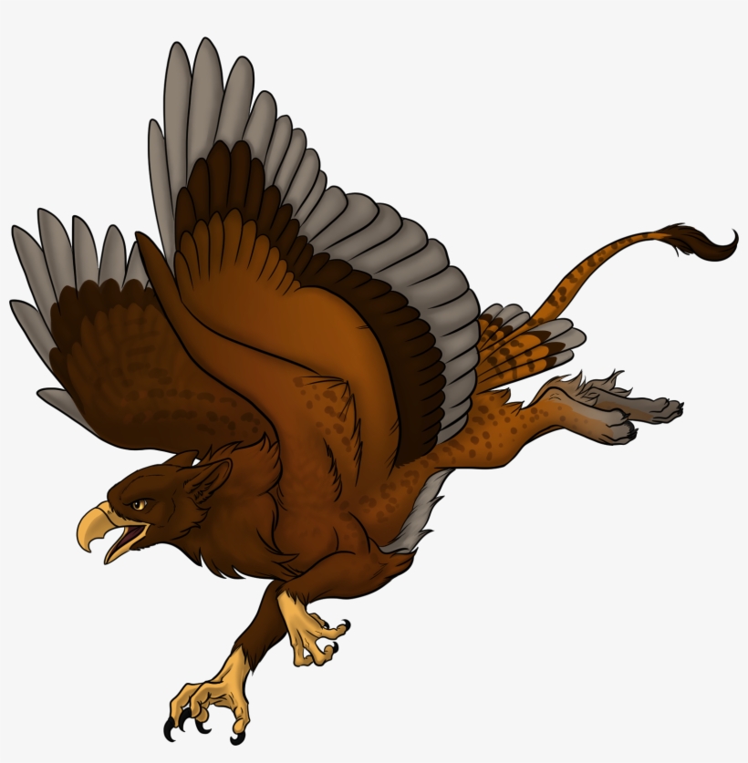 Kawheek Gryphon - Eagle, transparent png download