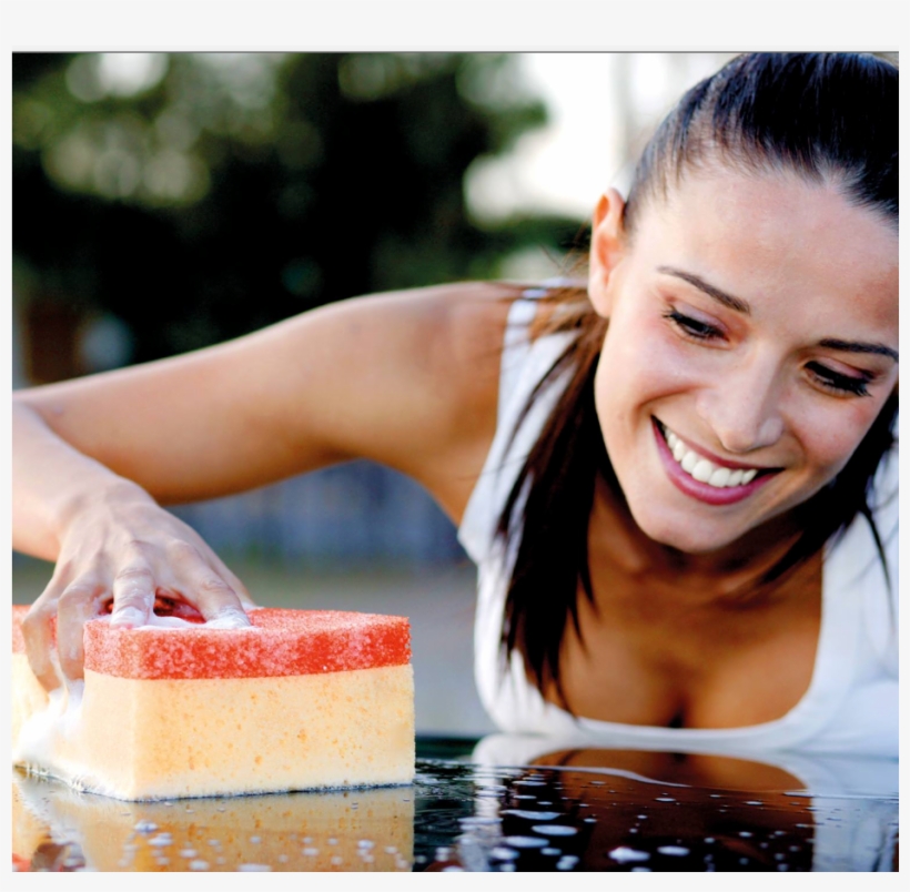 Care Tips, transparent png download