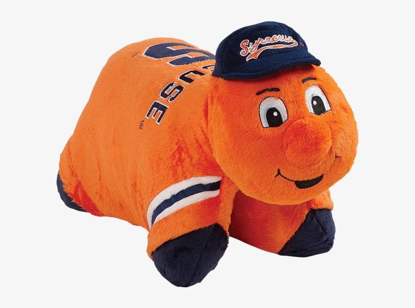 242 - Otto Pillow Pet, transparent png download