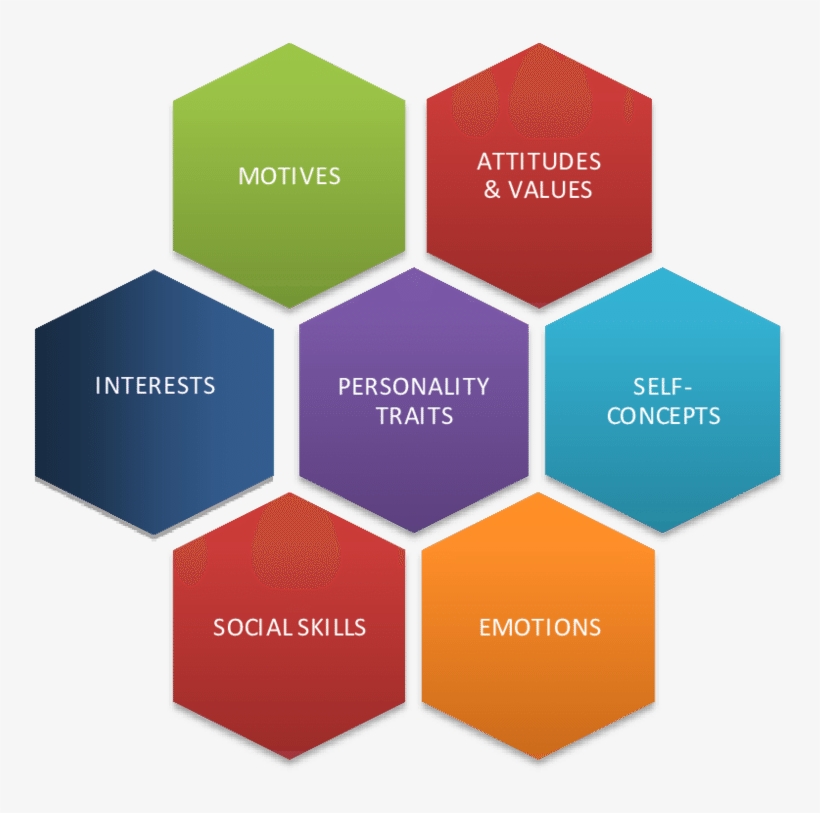 Various Personality Domains - Various Personality, transparent png download