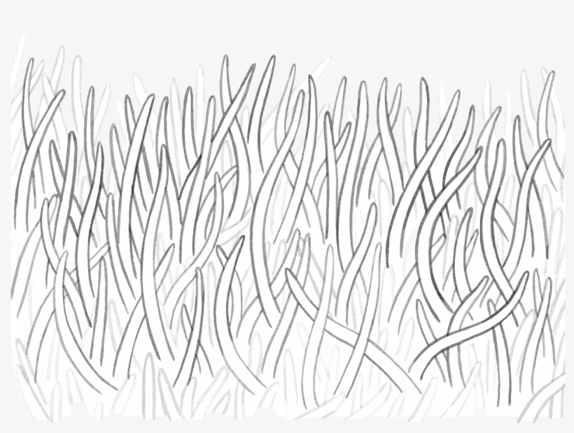 Illustration, transparent png download