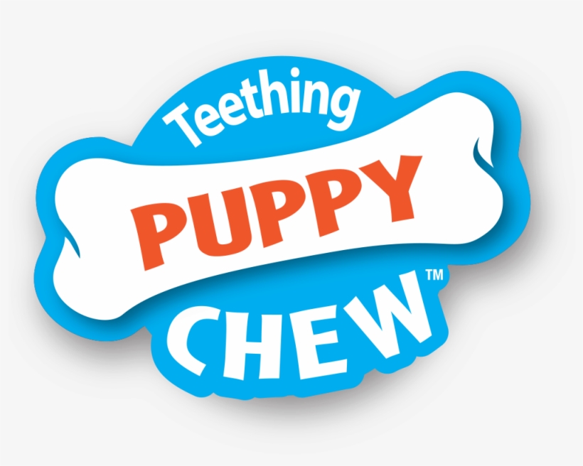 nylabone puppy pacifier