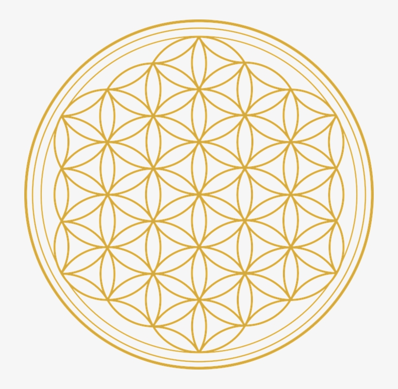 Flor De La Vida ¡significado, Origen Y Toda La Información - Blume Des Lebens Gold, transparent png download