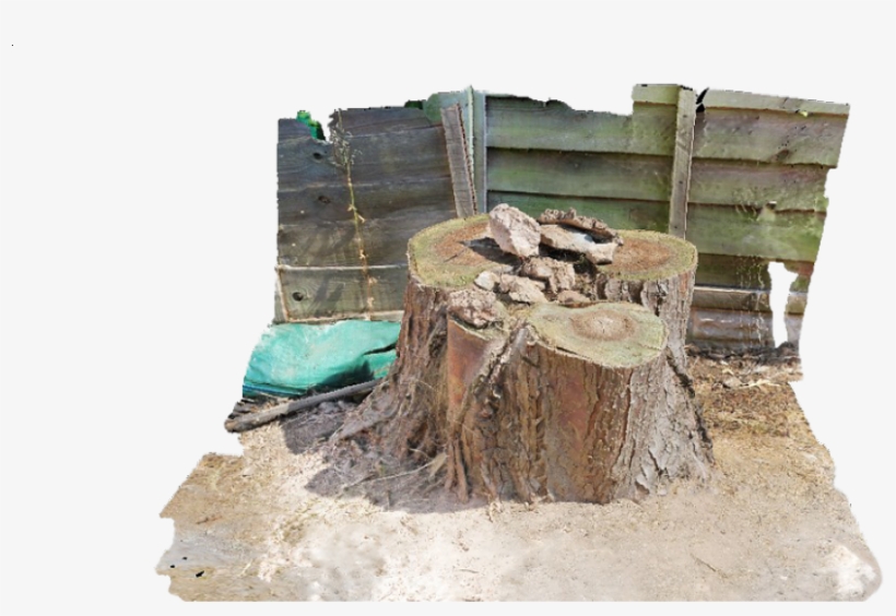 Tree Stump And Surrounding Area - Chair, transparent png download