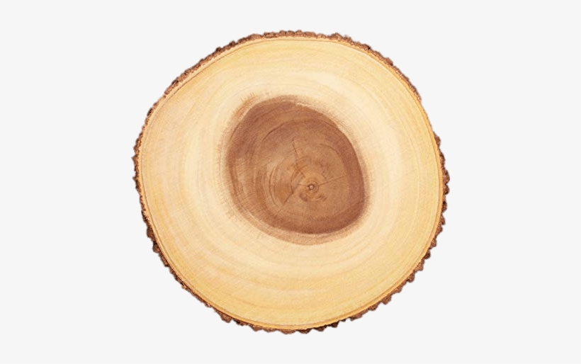 Cross Section Of Tree Trunk - Tabla Madera Tronco, transparent png download