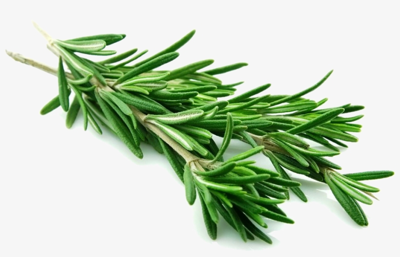Herbs Soaps - Rosemary Leaves, transparent png download