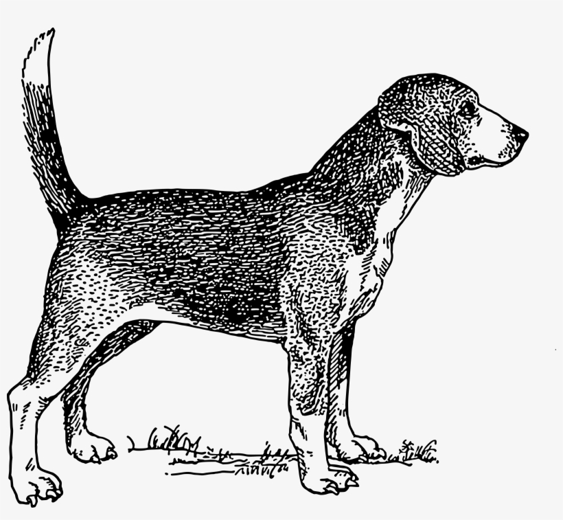 This Free Clipart Png Design Of Beagle Dog, transparent png download