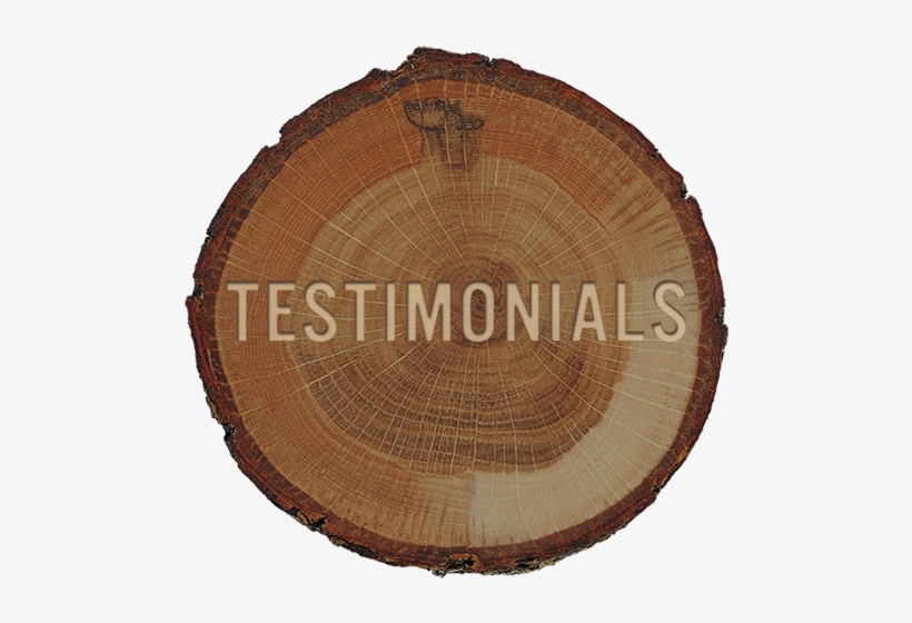 Testimonials Stump Graphic - Lumber, transparent png download