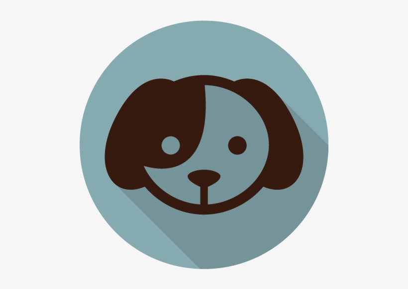 Cat Vector, transparent png download