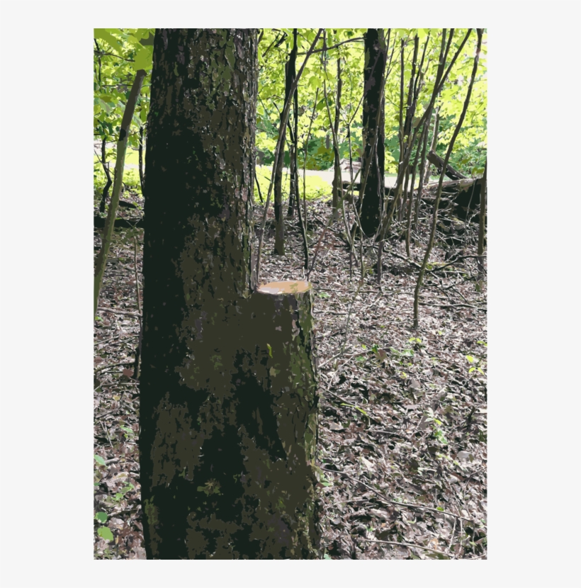 Lumber Trunk Wood Forest Tree Stump - Lumber, transparent png download