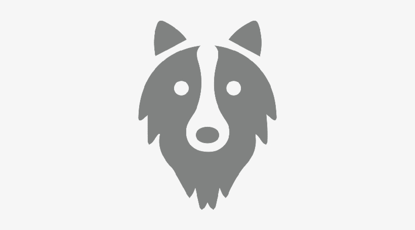 Dog Vector Icon - Bordercollie Png, transparent png download