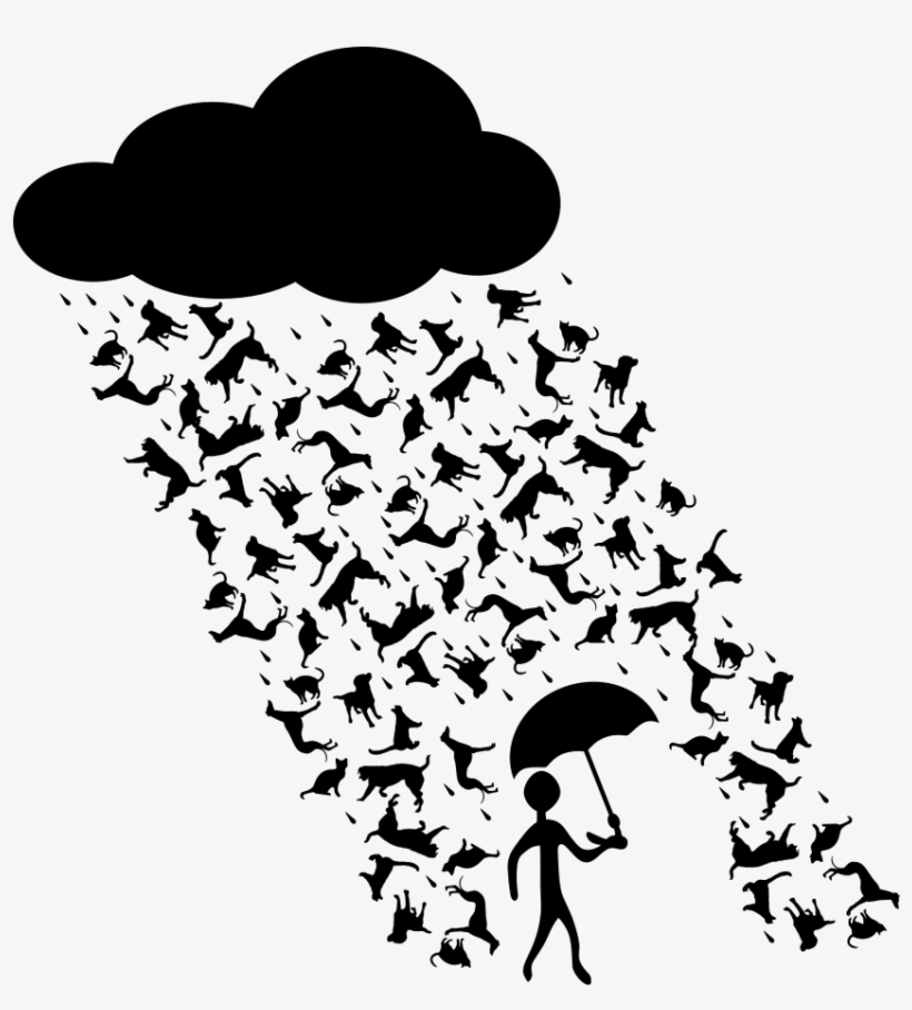 How To Set Use Raining Cats And Dogs Clipart, transparent png download
