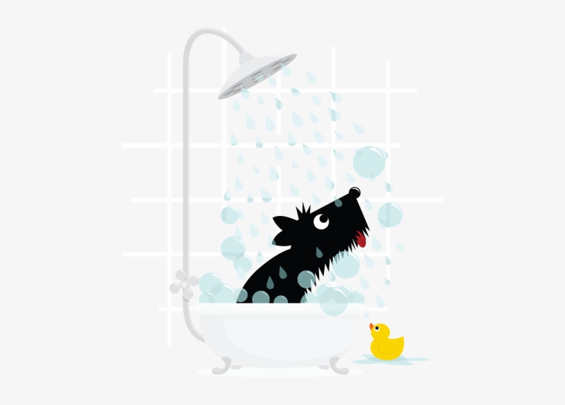 Pet Grooming - Girl Baby Shower, transparent png download