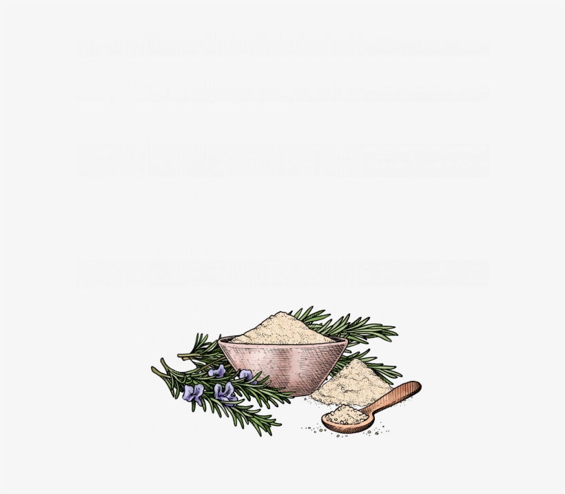 Rosemary Sea Salt - Rosemary, transparent png download