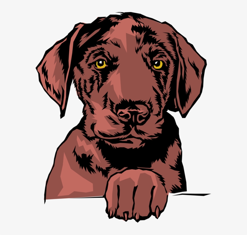 Vector Illustration Of Family Pet Brown Dog With Paw - Labrador,-chocolate.png Shower Curtain, transparent png download