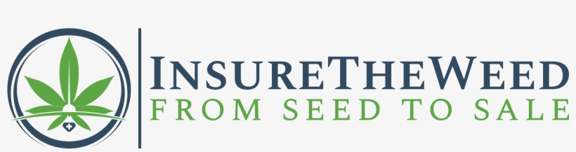 Marijuana Business Insurance Quotes - Marijuana Business Insurance, transparent png download